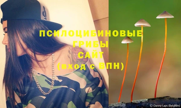 шишки Аркадак